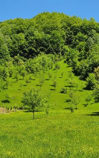 Cherni Vit village