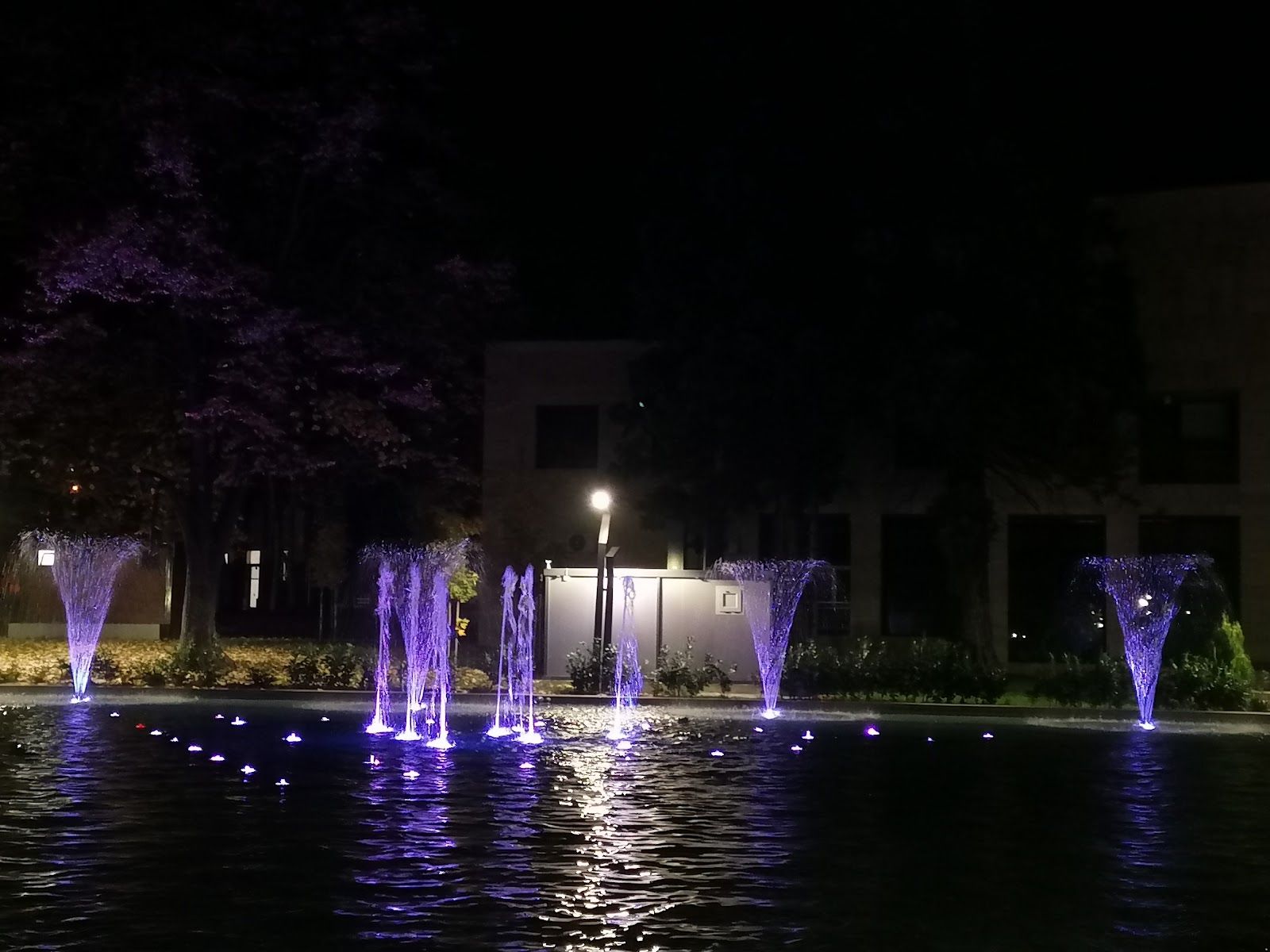 Hristo Botev Square – photo 4