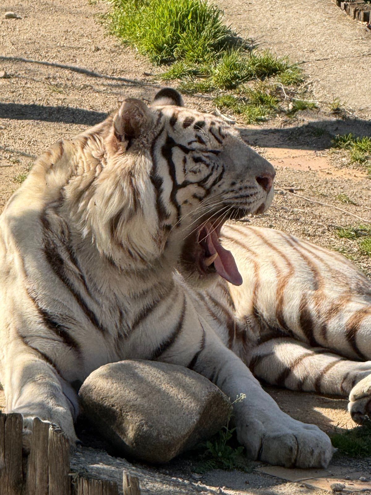 The Sofia Zoo – photo 5