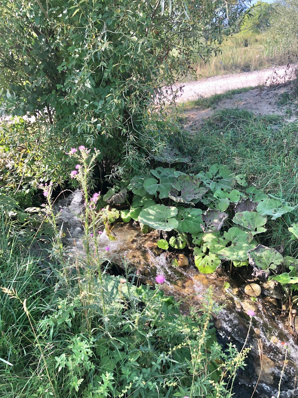 Top of the river – photo 2