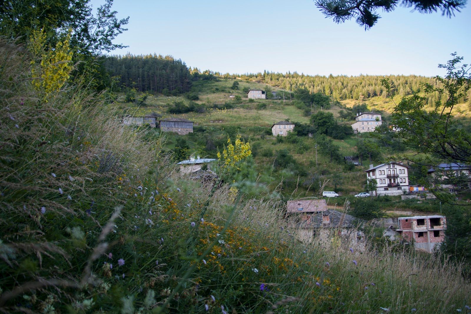 Село Зорница