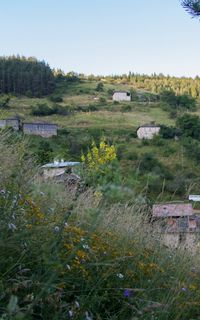Село Зорница