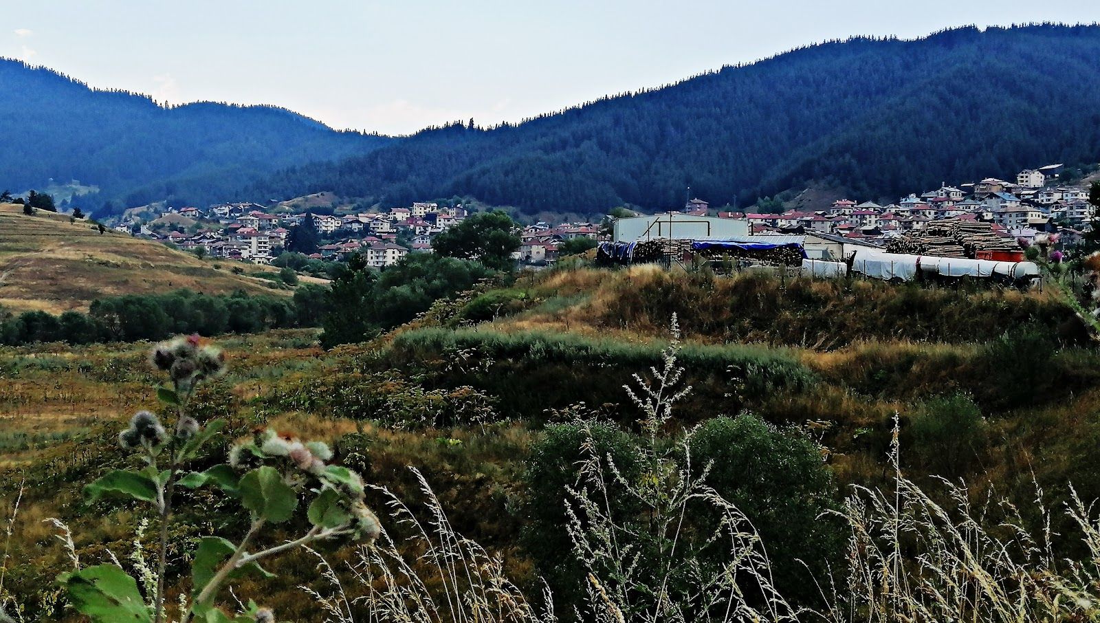 Село Борино