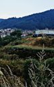 Borino village