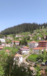 Село Манастир