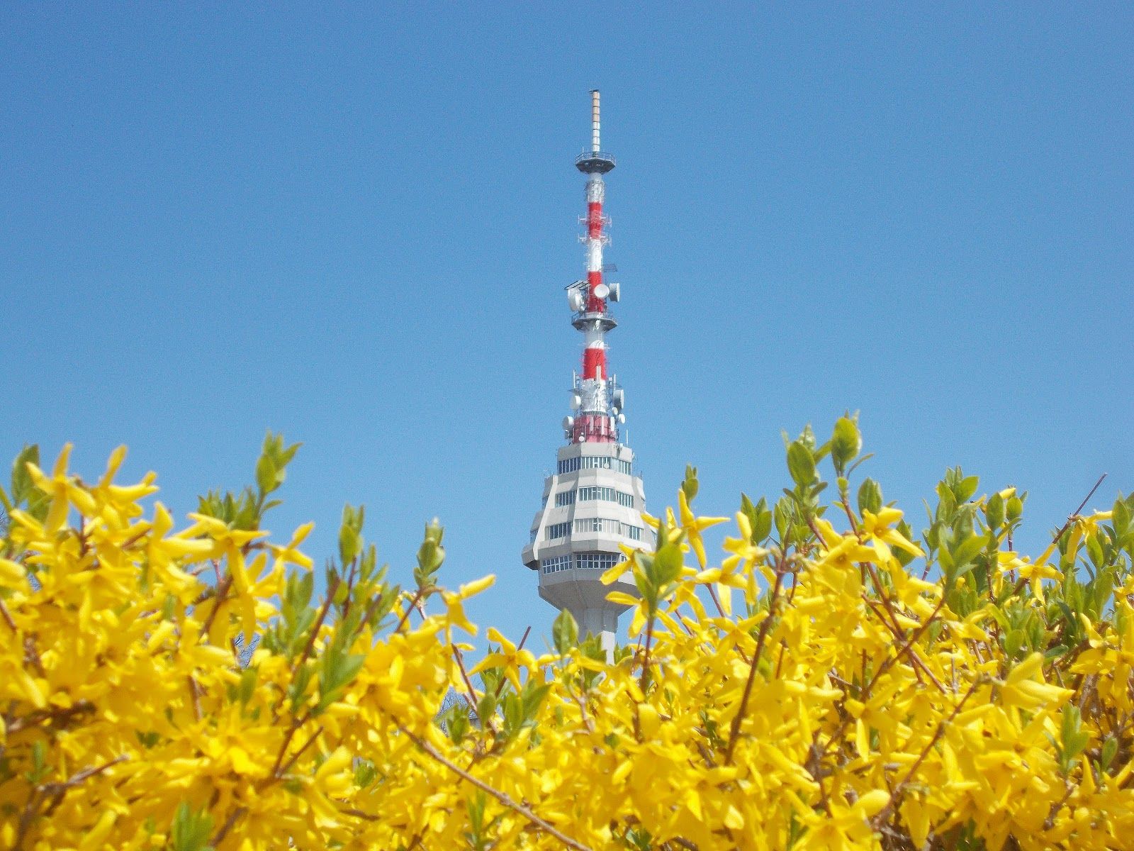 Television tower – photo 4