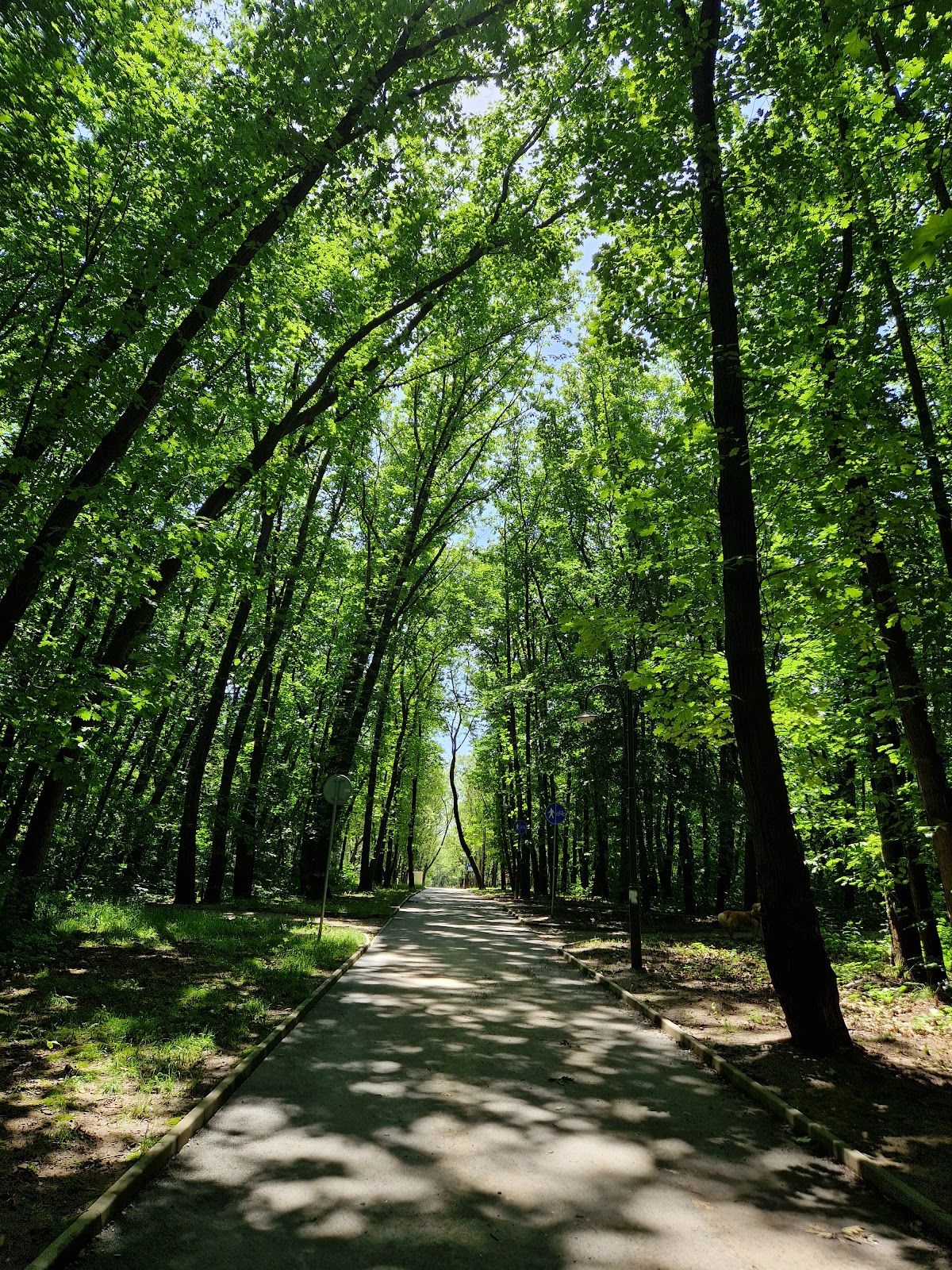 West Park