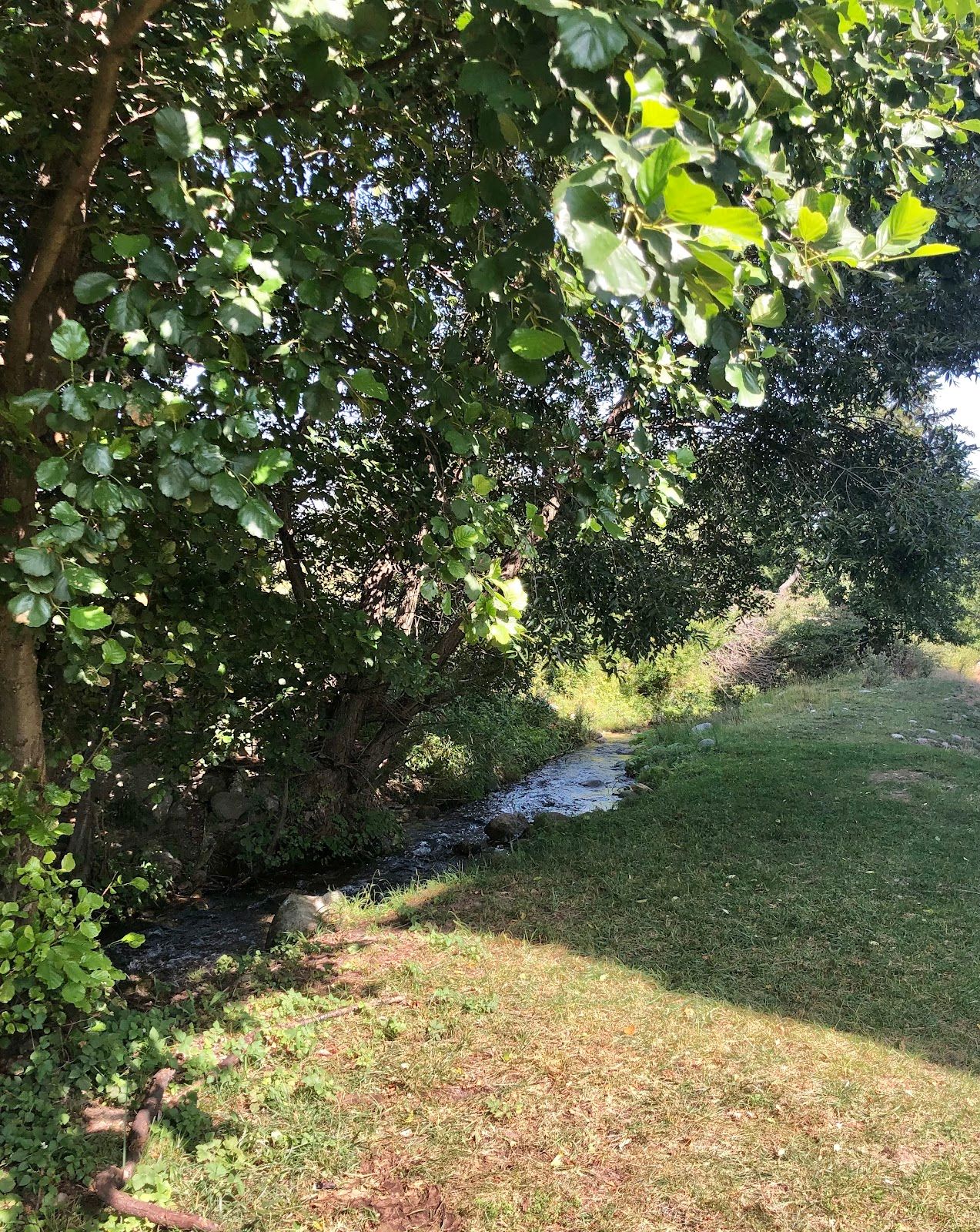Top of the river – photo 3