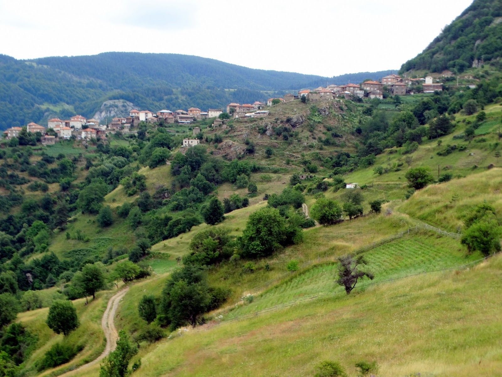 Село Осиково