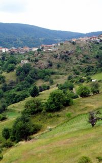 Село Осиково