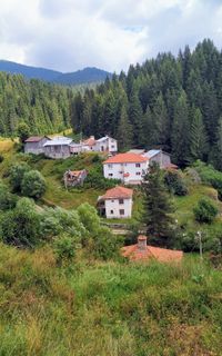 Село Кестен