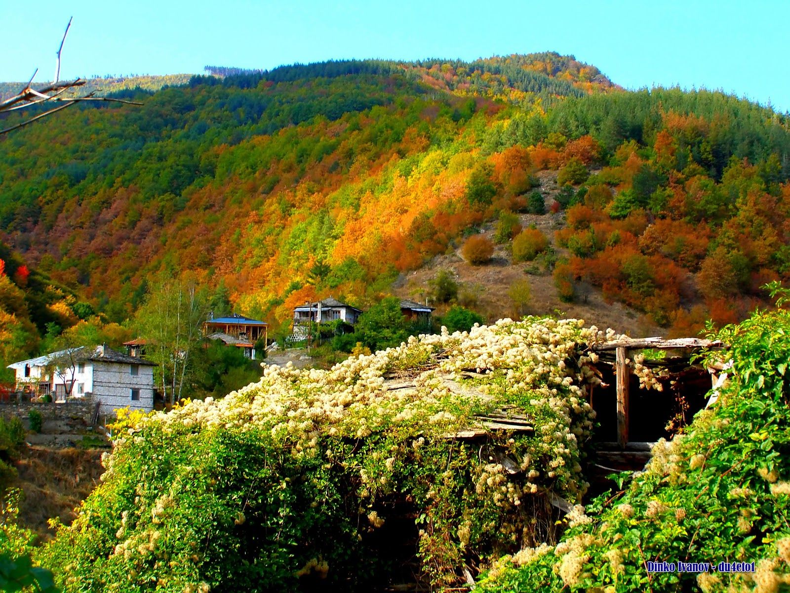 Kosovo village