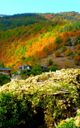 Kosovo village
