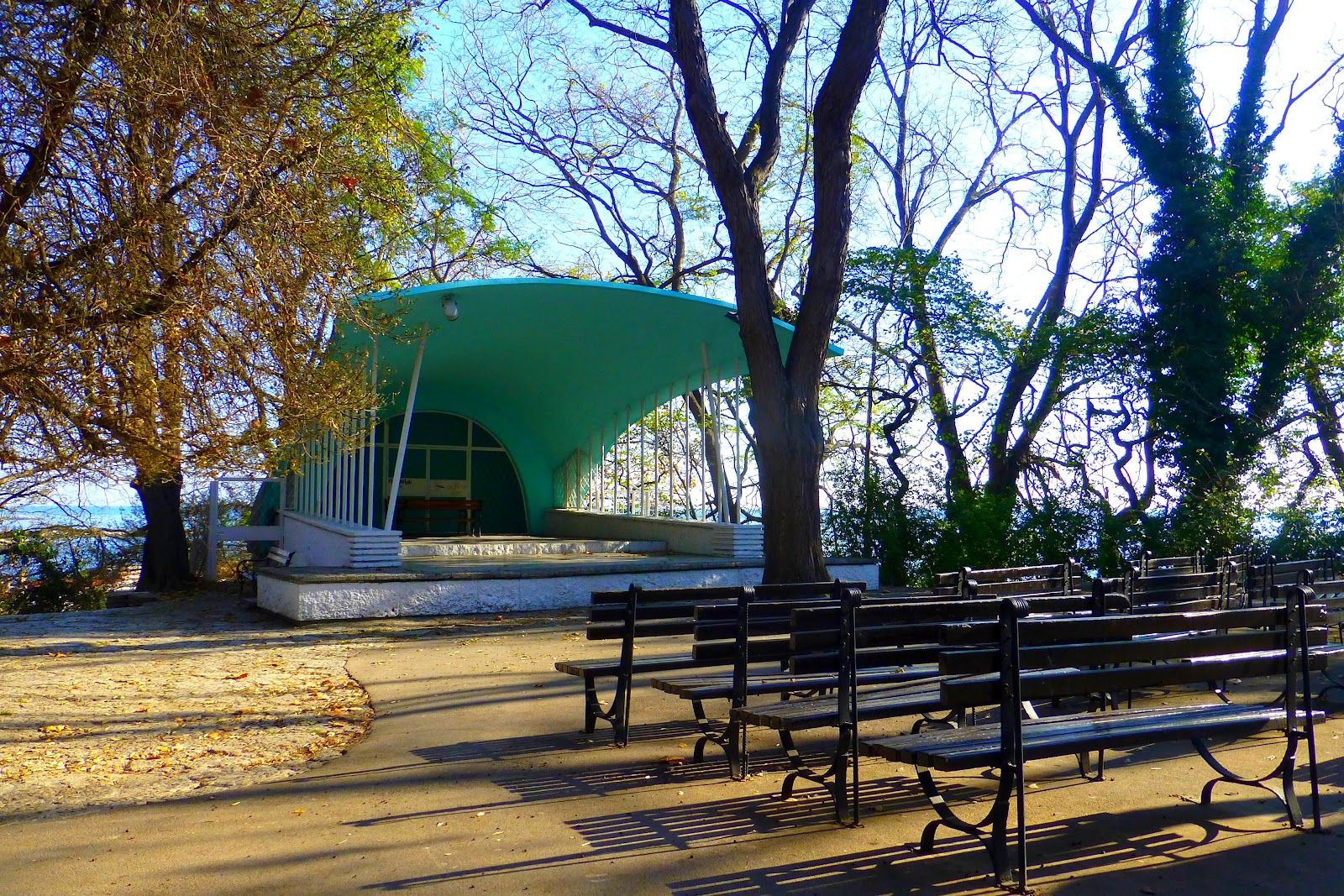 Rakovina Stage