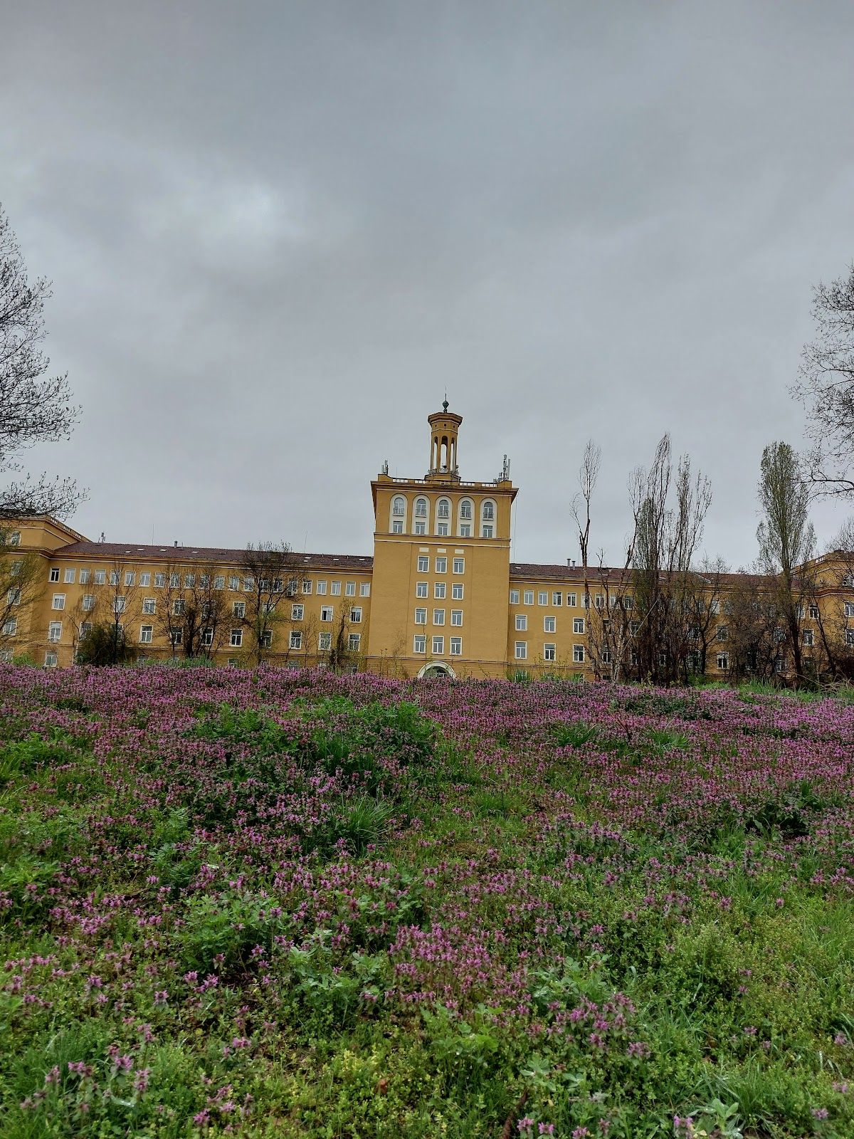 Faculty of Chemistry and Pharmacy at the University of Sofia