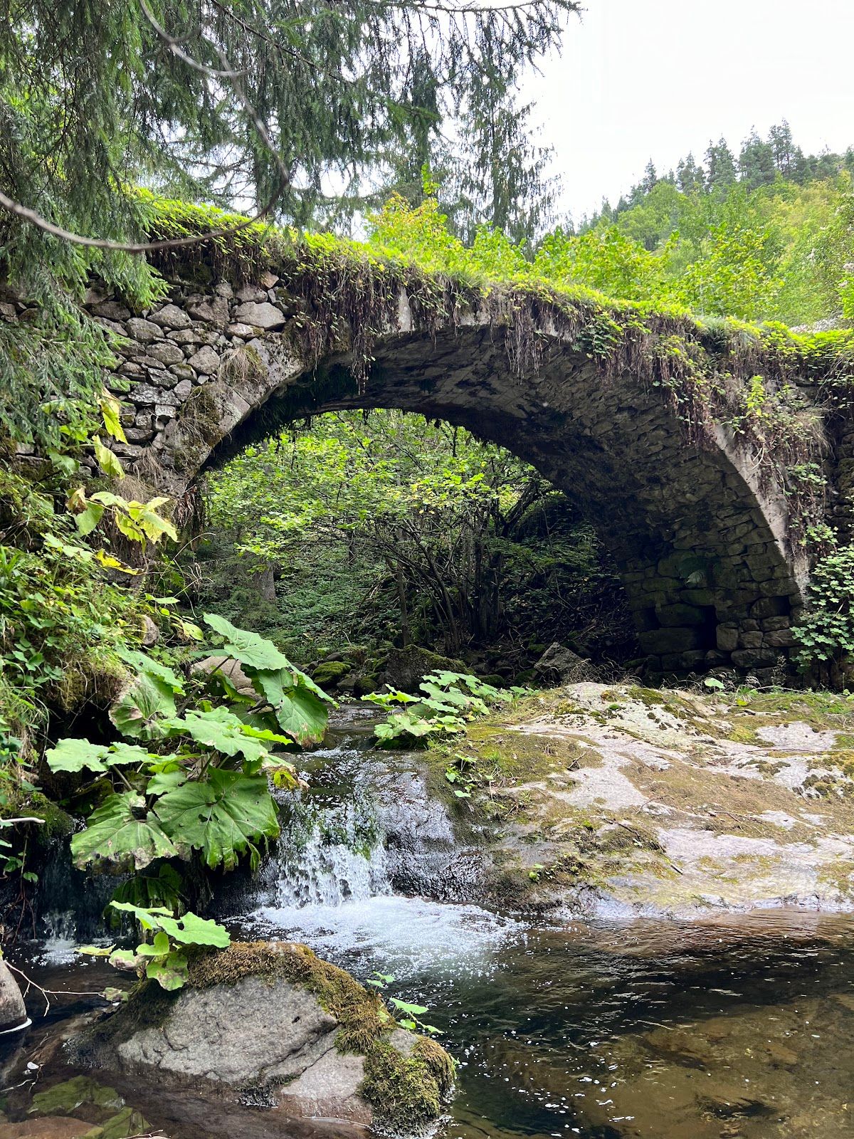 Roman Bridge
