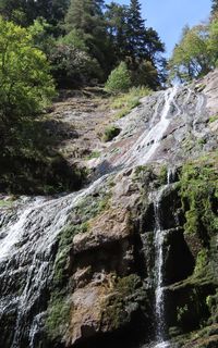 Orpheus Waterfall