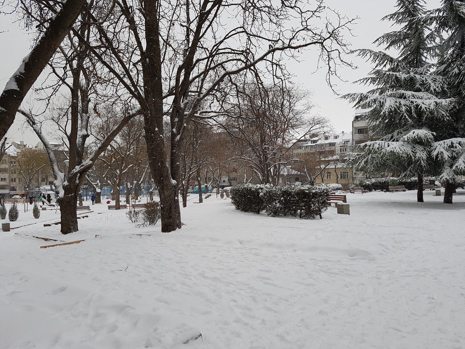 Borissova Garden – photo 3