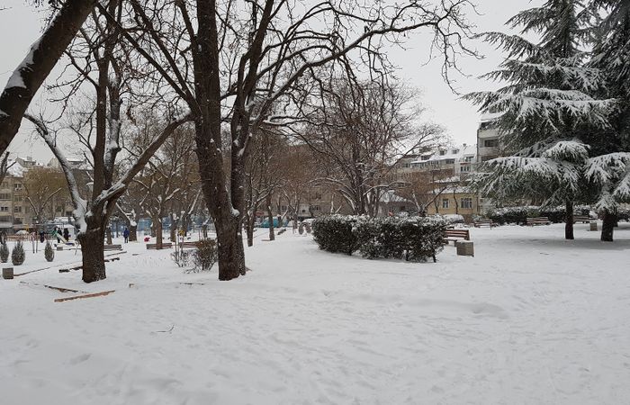 Borissova Garden – photo 3