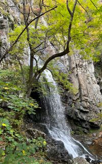 Boyana Waterfall