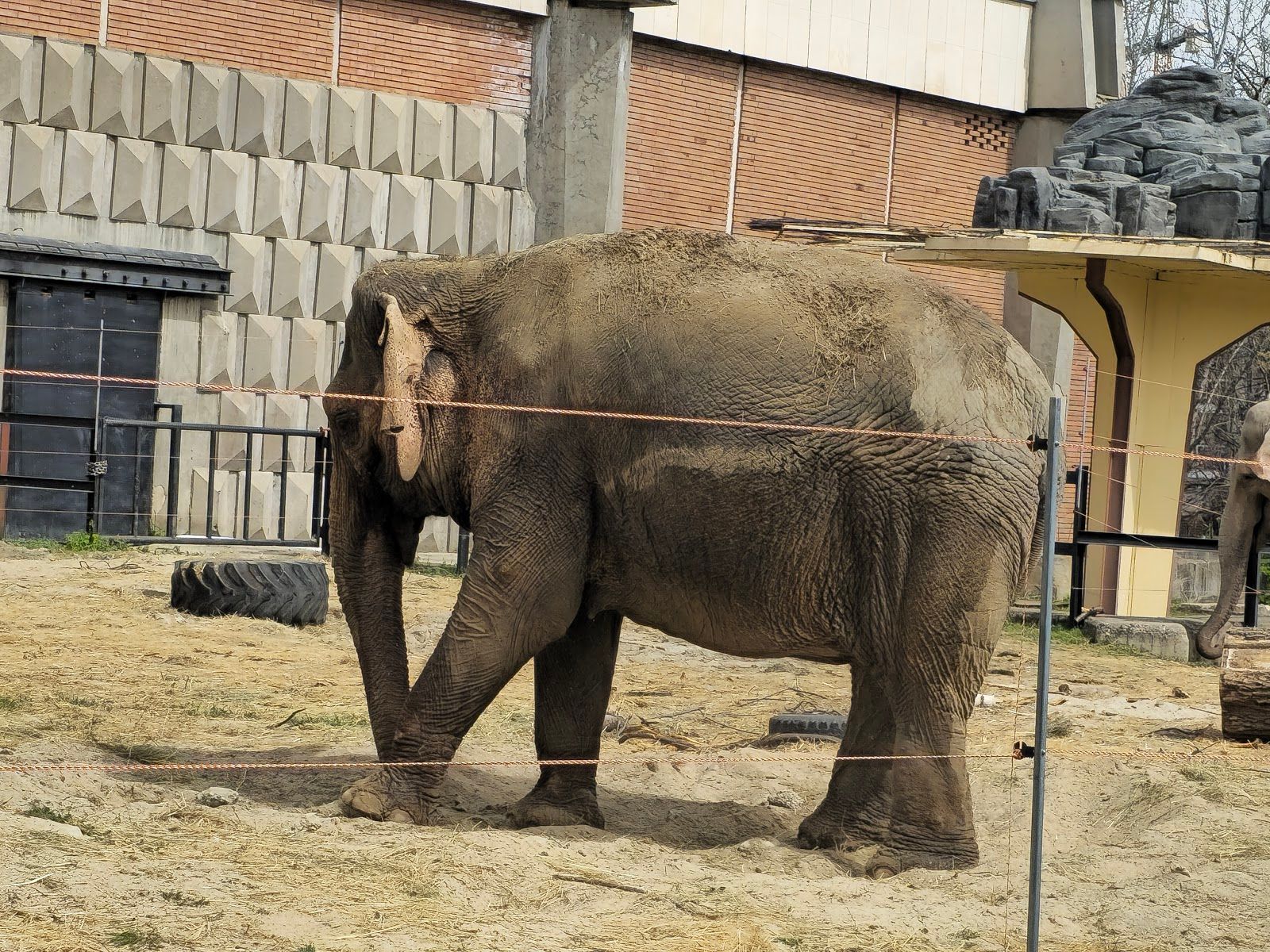 The Sofia Zoo – photo 1
