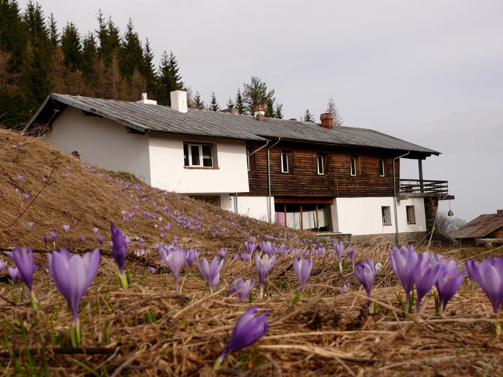 Lodge 'Ambaritsa'