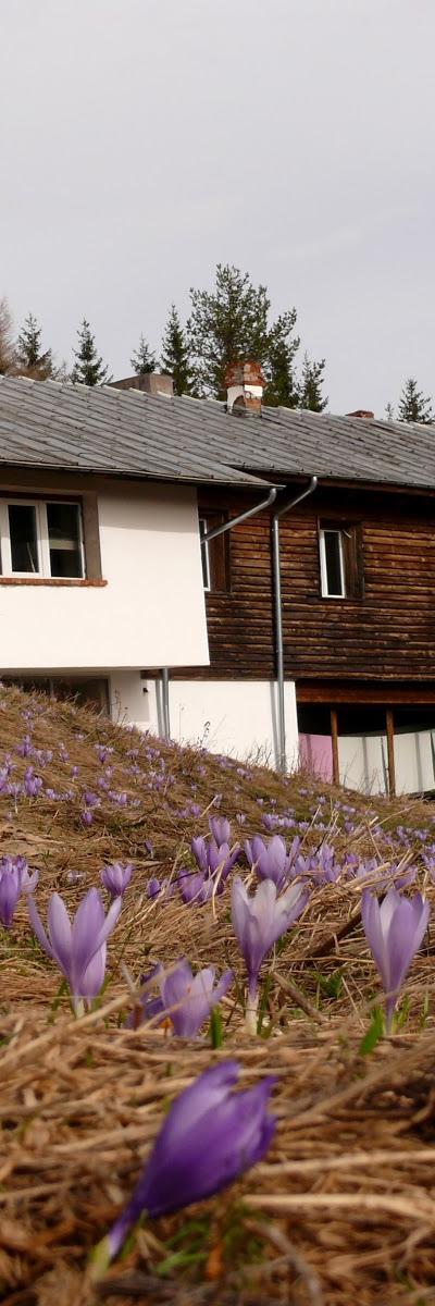 Most beautiful huts in Bulgaria