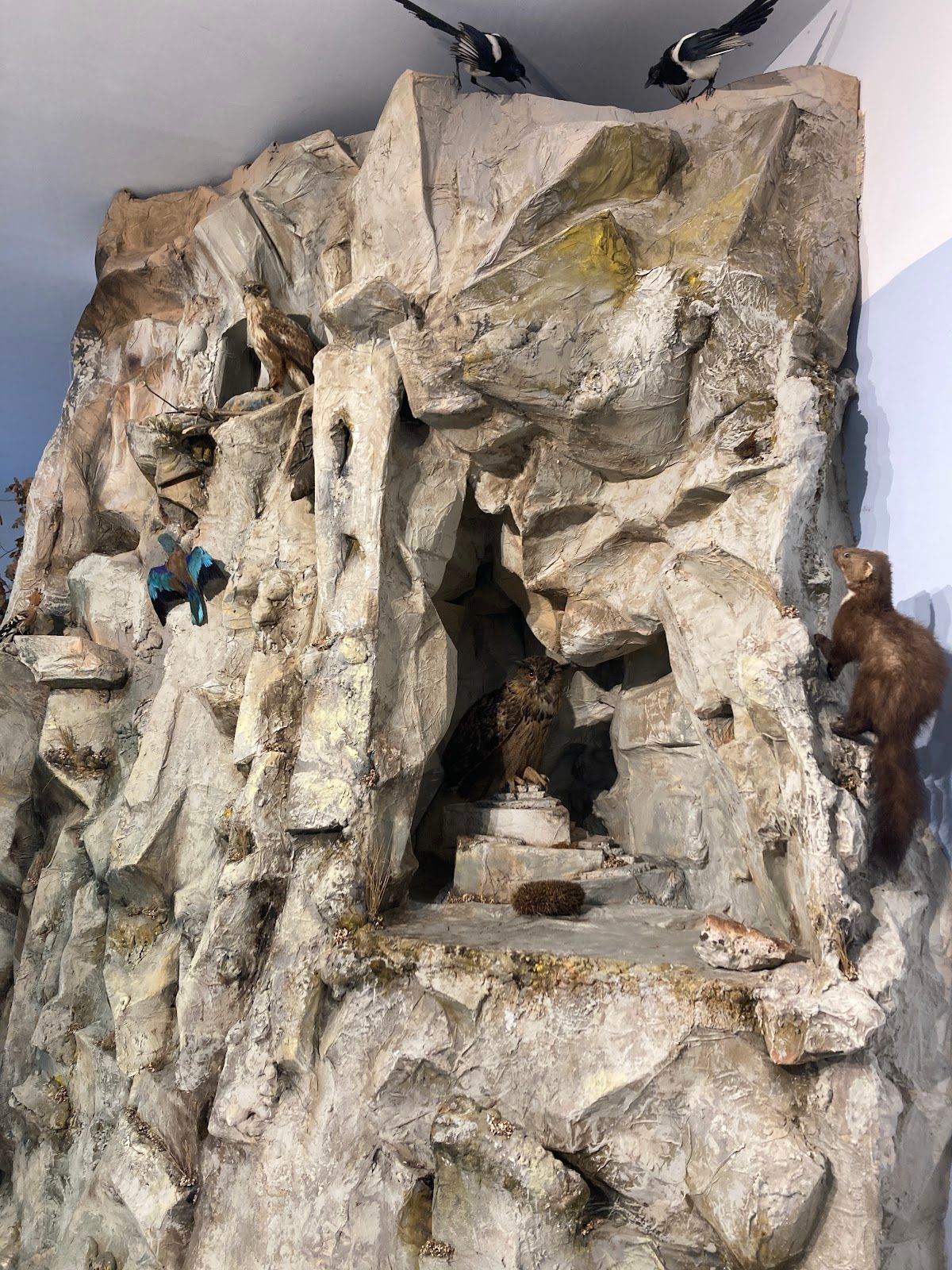 Museum in City Park - Nature of Dobrudzha – photo 3