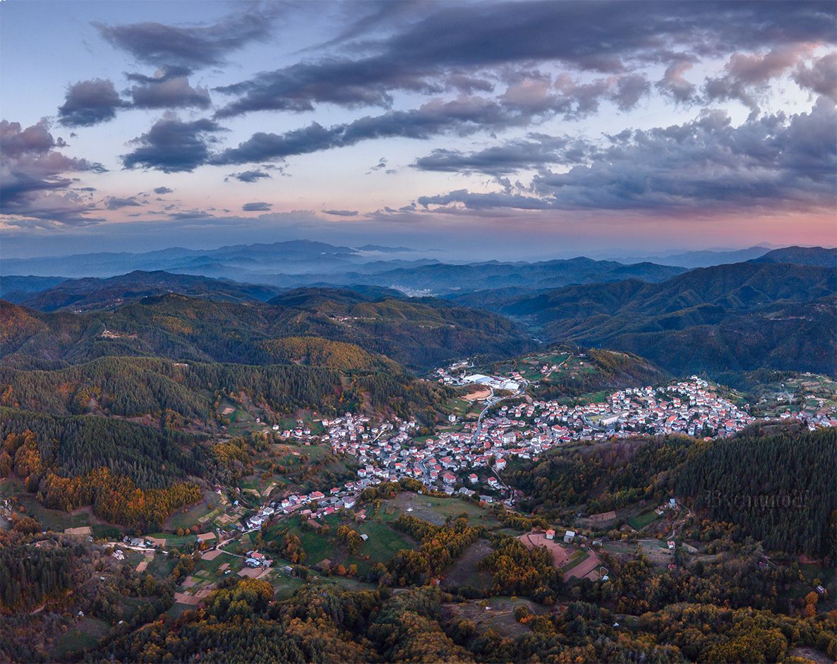 Село Старцево