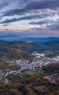 Село Старцево
