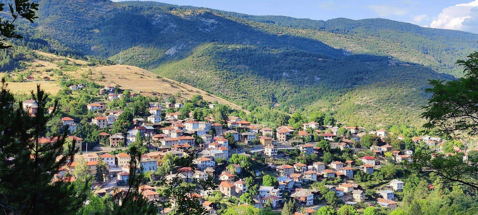 Село Орехово