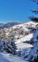 Progled village