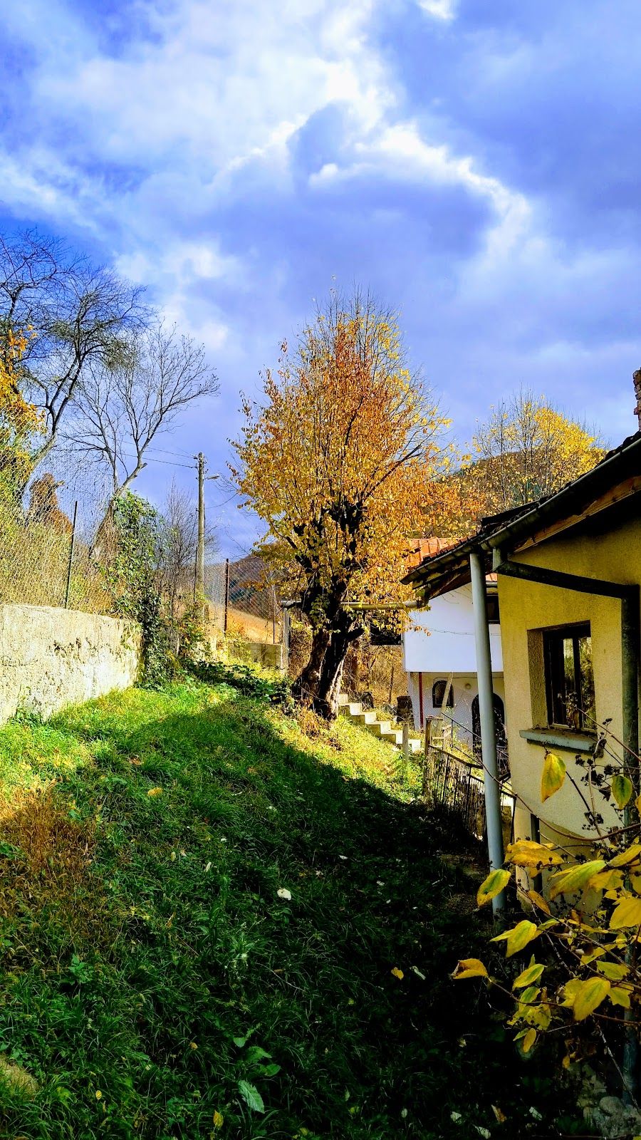 Vasilyovo village