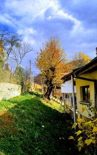 Vasilyovo village