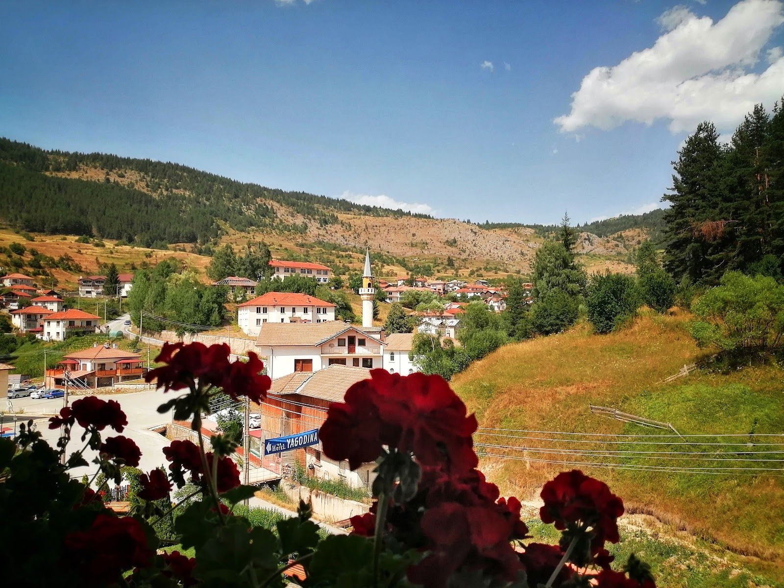 Село Ягодина