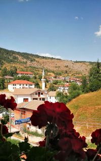 Село Ягодина