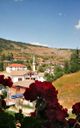 Yagodina village