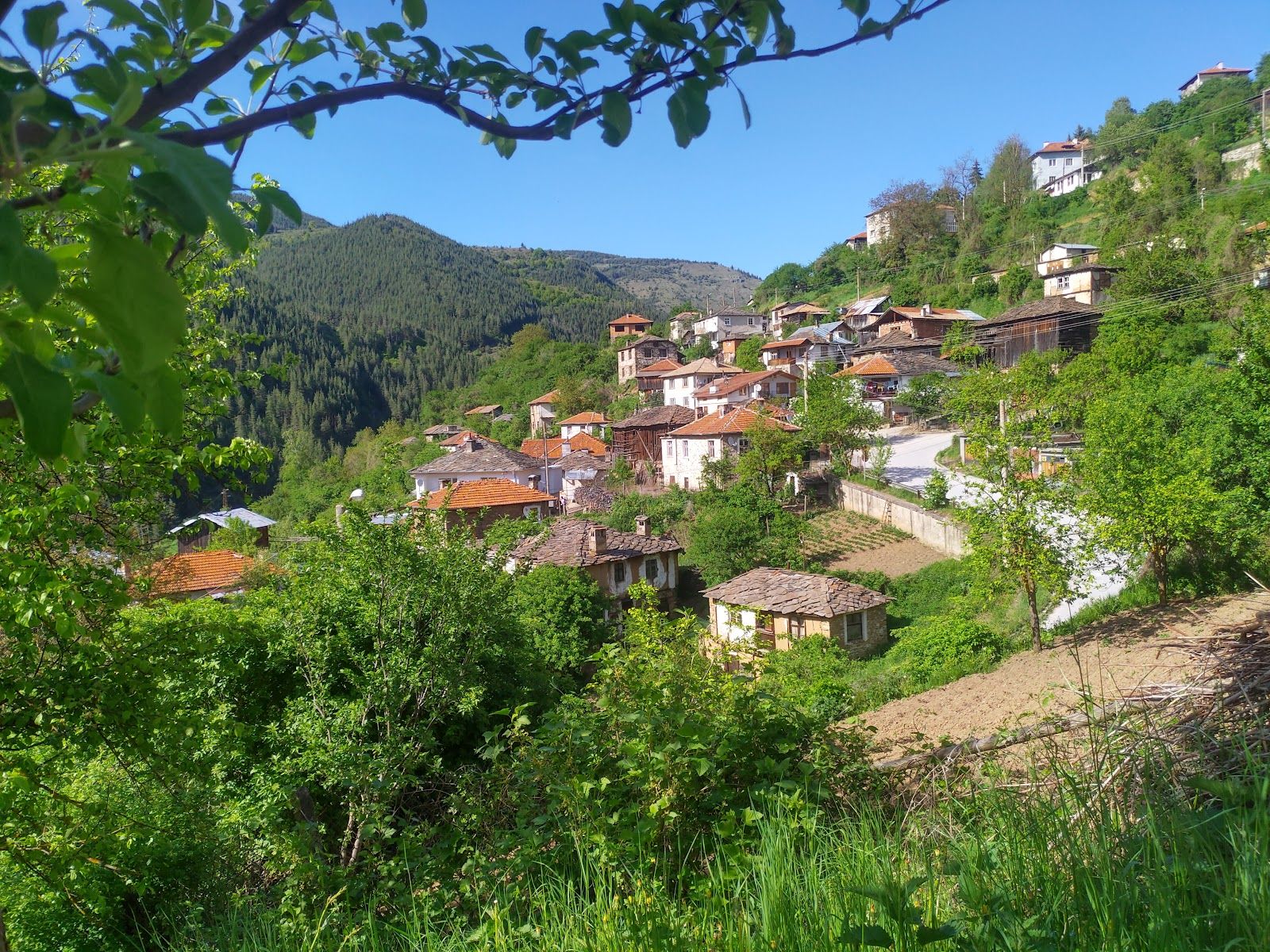 Село Брезе