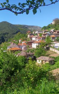 Село Брезе