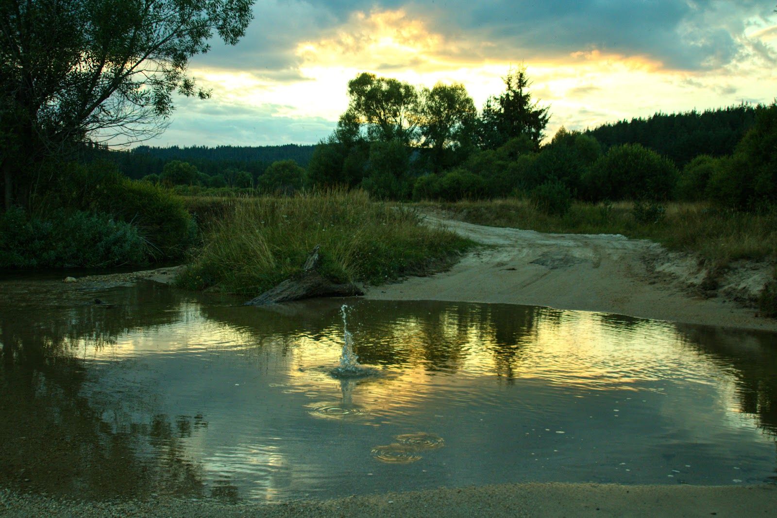 Село Медени поляни