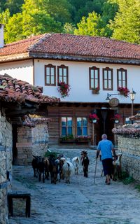 Zheravna architectural reserve