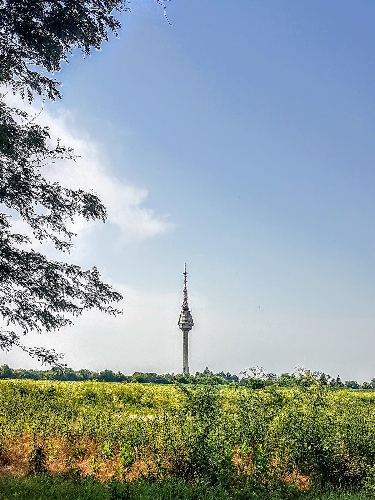 Television tower – photo 5