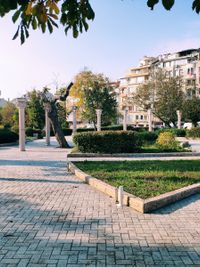 Borissova Garden