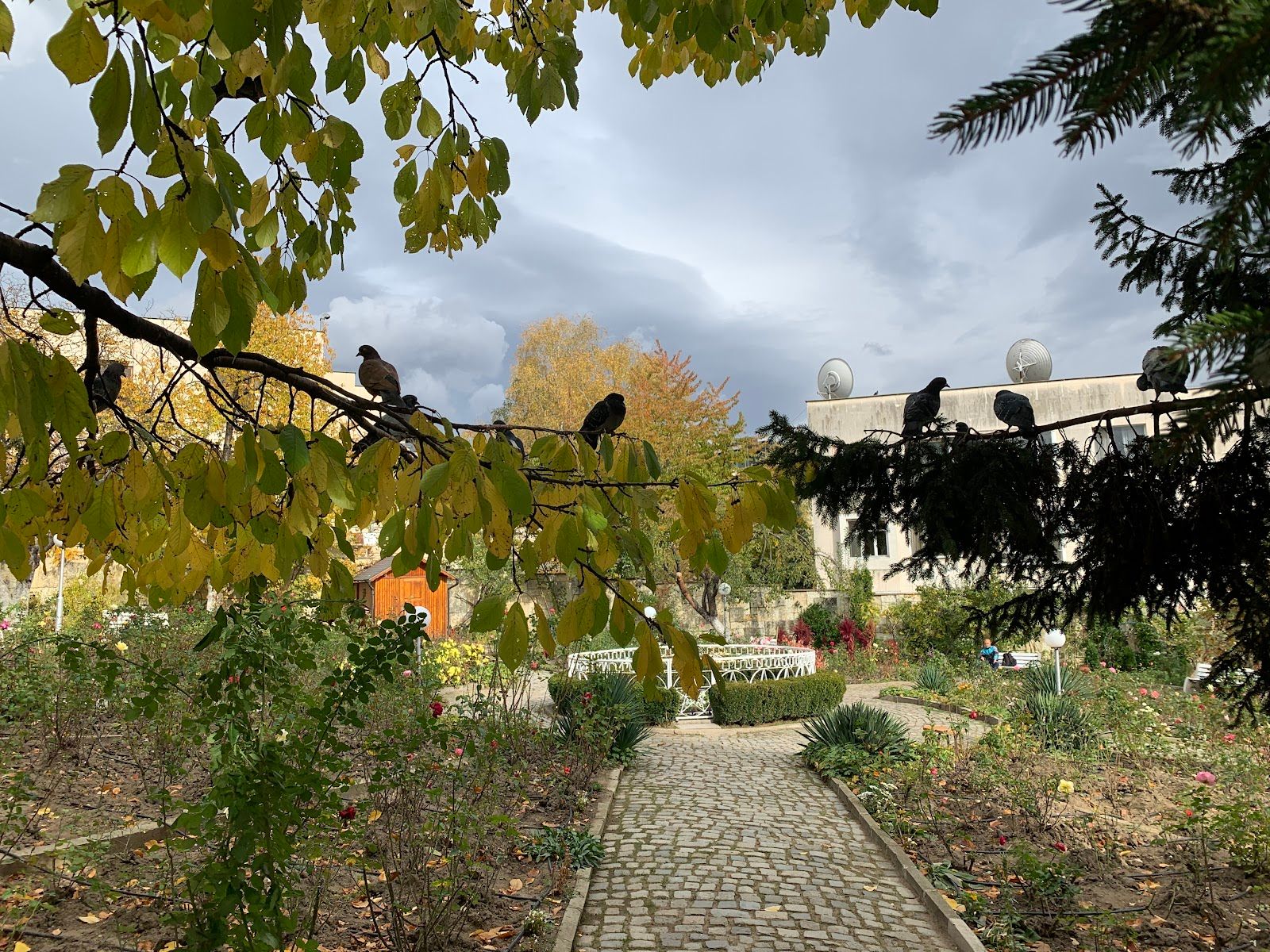 Deunov's Garden – photo 5