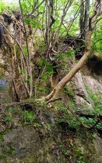 Take a short trip to the Futula Waterfall and Cave