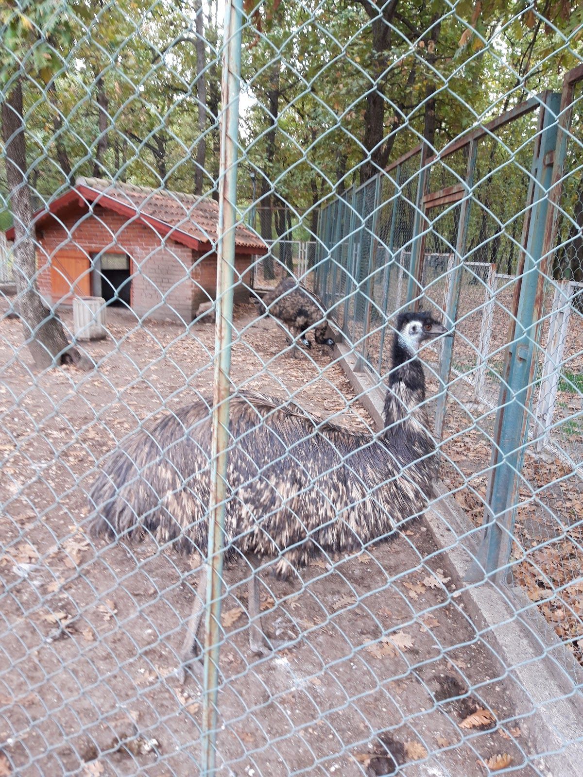 Haskovo Zoo – photo 4