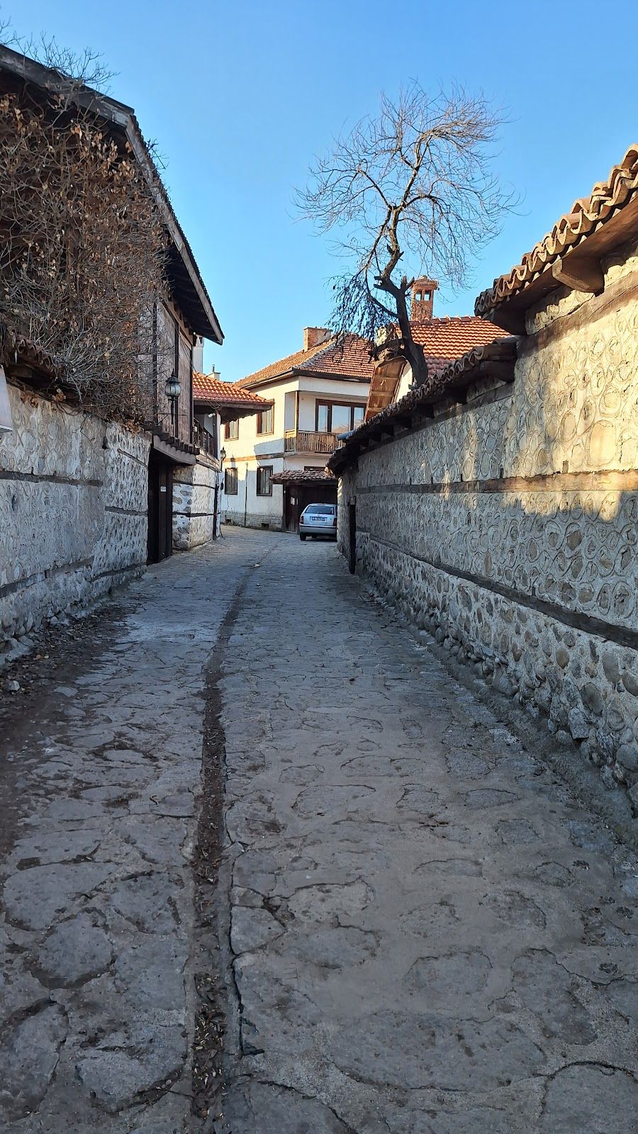 Sirleshtova House – photo 1