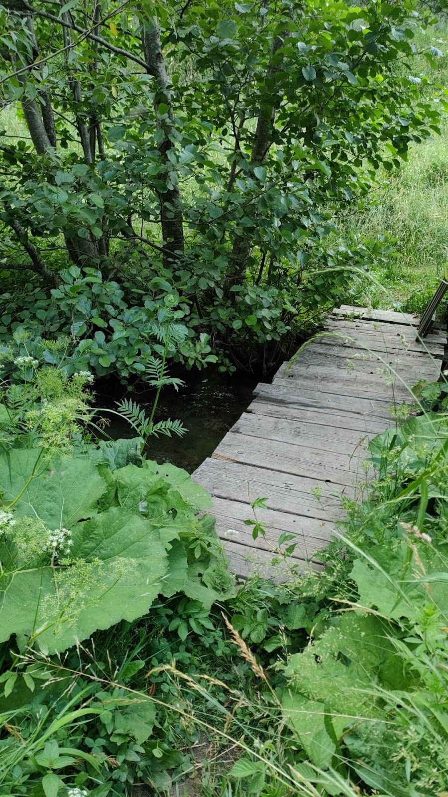 Wild camping – photo 2
