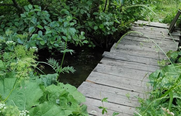 Wild camping – photo 2