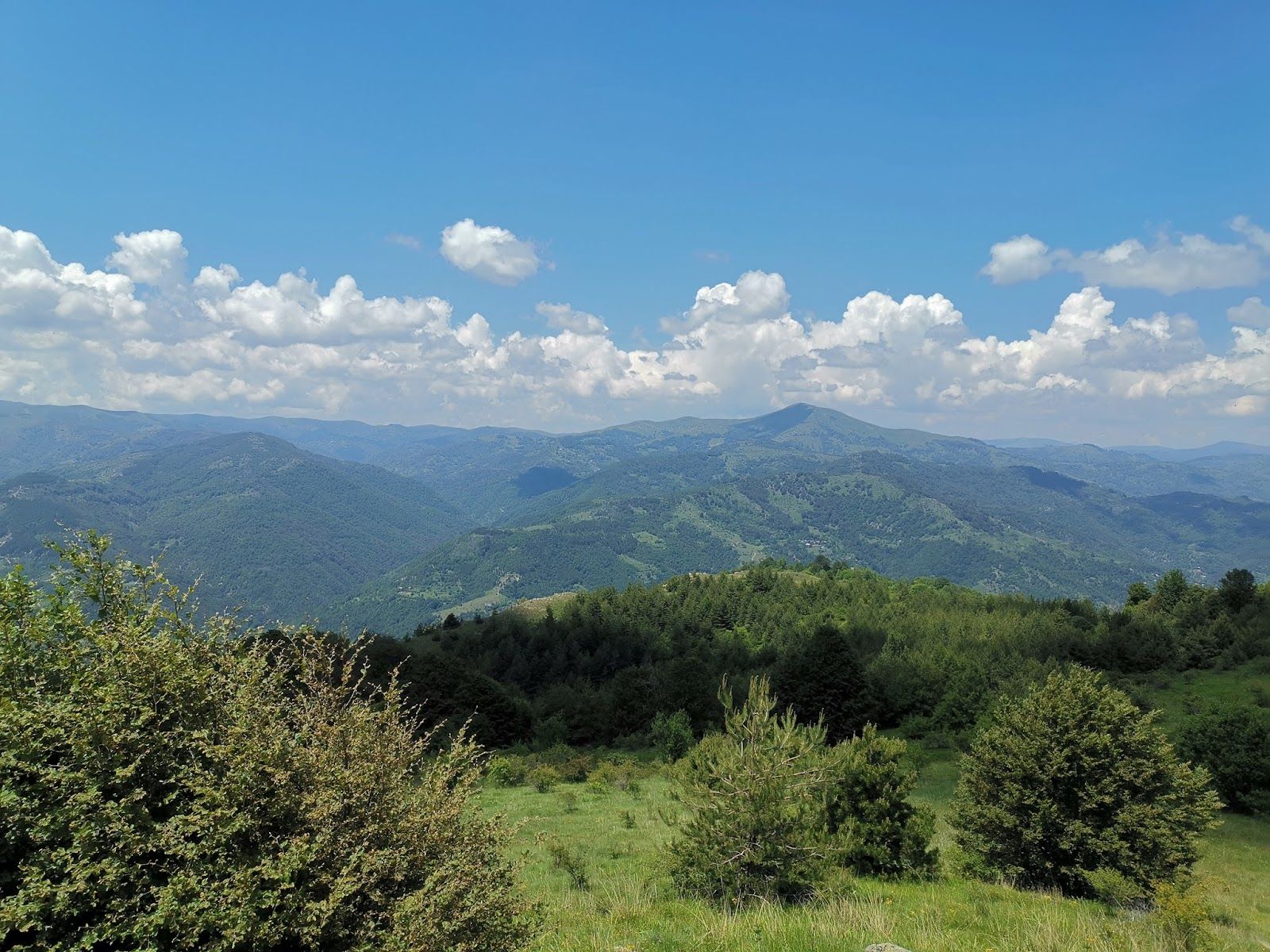 Čudinska planina
